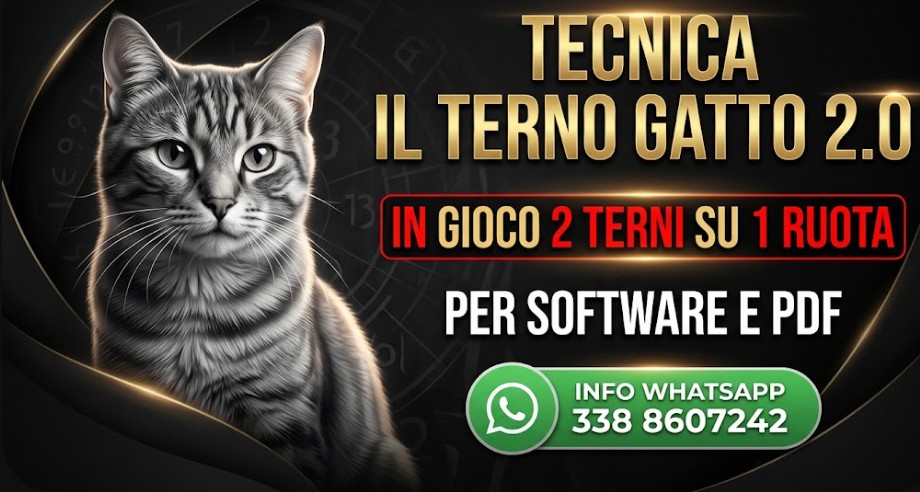 BANNER TERNO GATTO 2.0